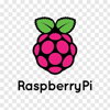 Logo Raspberry