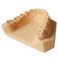 DENTAL model resin - pryskyřice pro zubní modelování eSUN 1 kg