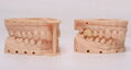DM100 Dental Restoration Model Resin eSUN 1 kg