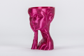 Filament FILAMENT-PM PLA SILK 
